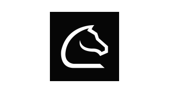 Chessnut logo